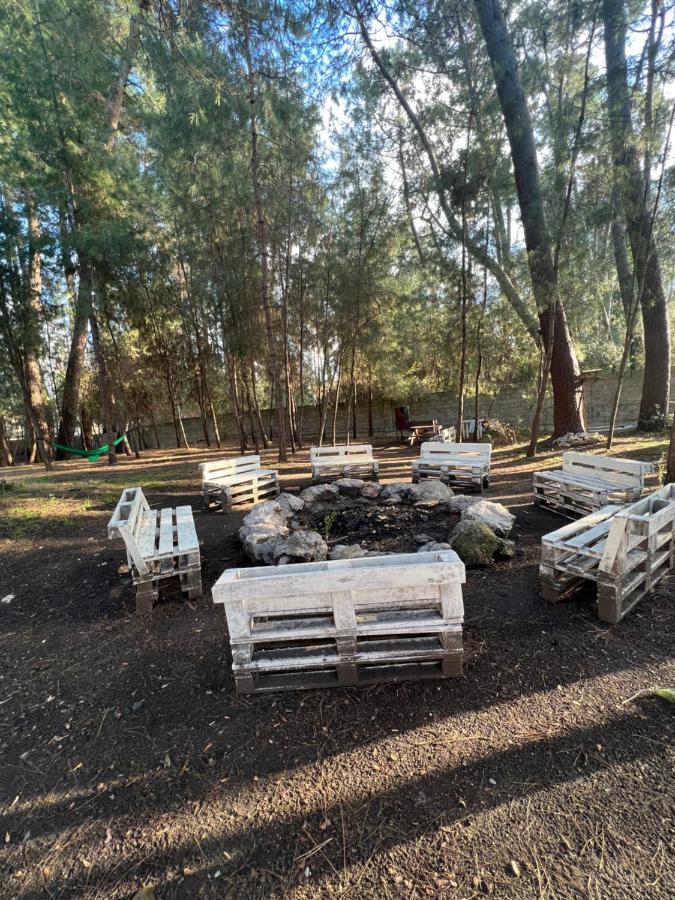 Mini-Hotel Forest Club Піцунда Екстер'єр фото